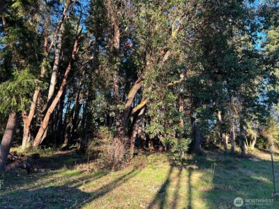 0 Lemolo Shore, Parcel 3-006 Drive NE, Poulsbo, WA 98370 - Photo 11
