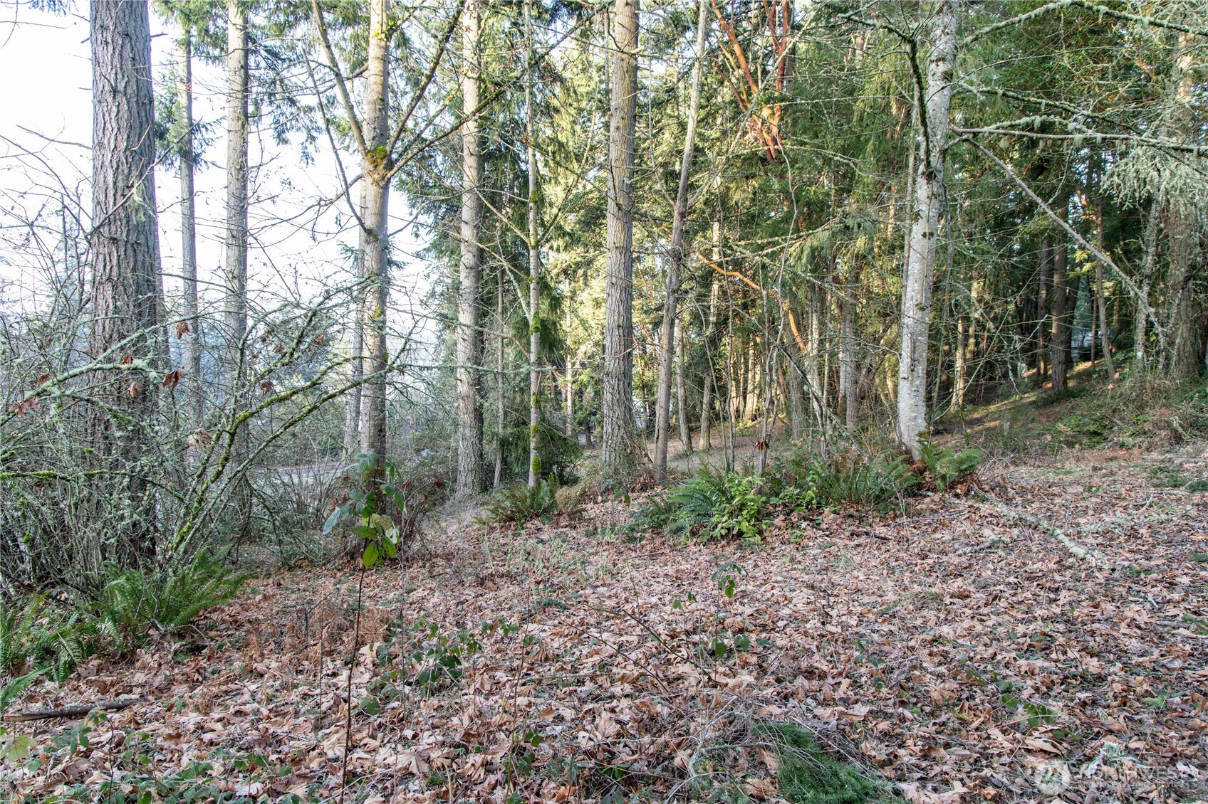 0 Lemolo Shore, Parcel 3-006 Drive NE, Poulsbo, WA 98370