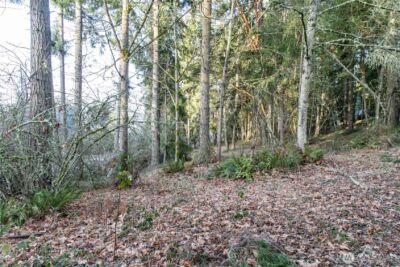 0 Lemolo Shore, Parcel 3-006 Drive NE, Poulsbo, WA 98370 - Photo 7