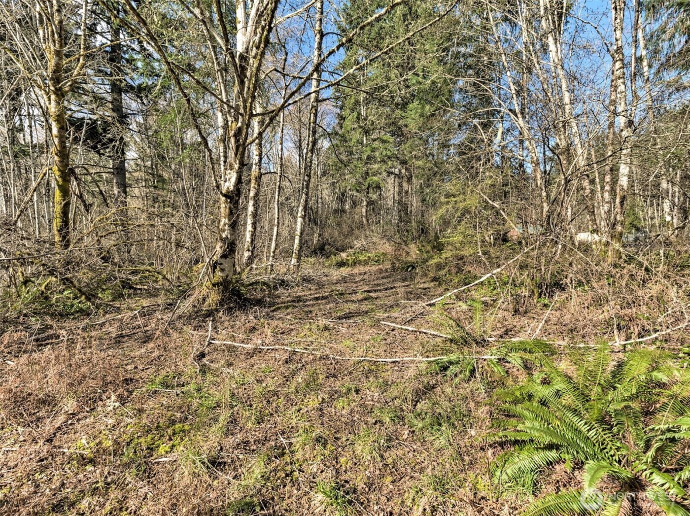 6641 SE Arcadia Road , Shelton, WA 98584