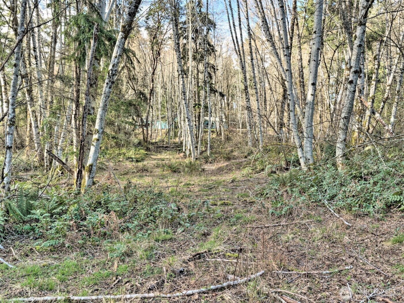 6641 SE Arcadia Road , Shelton, WA 98584