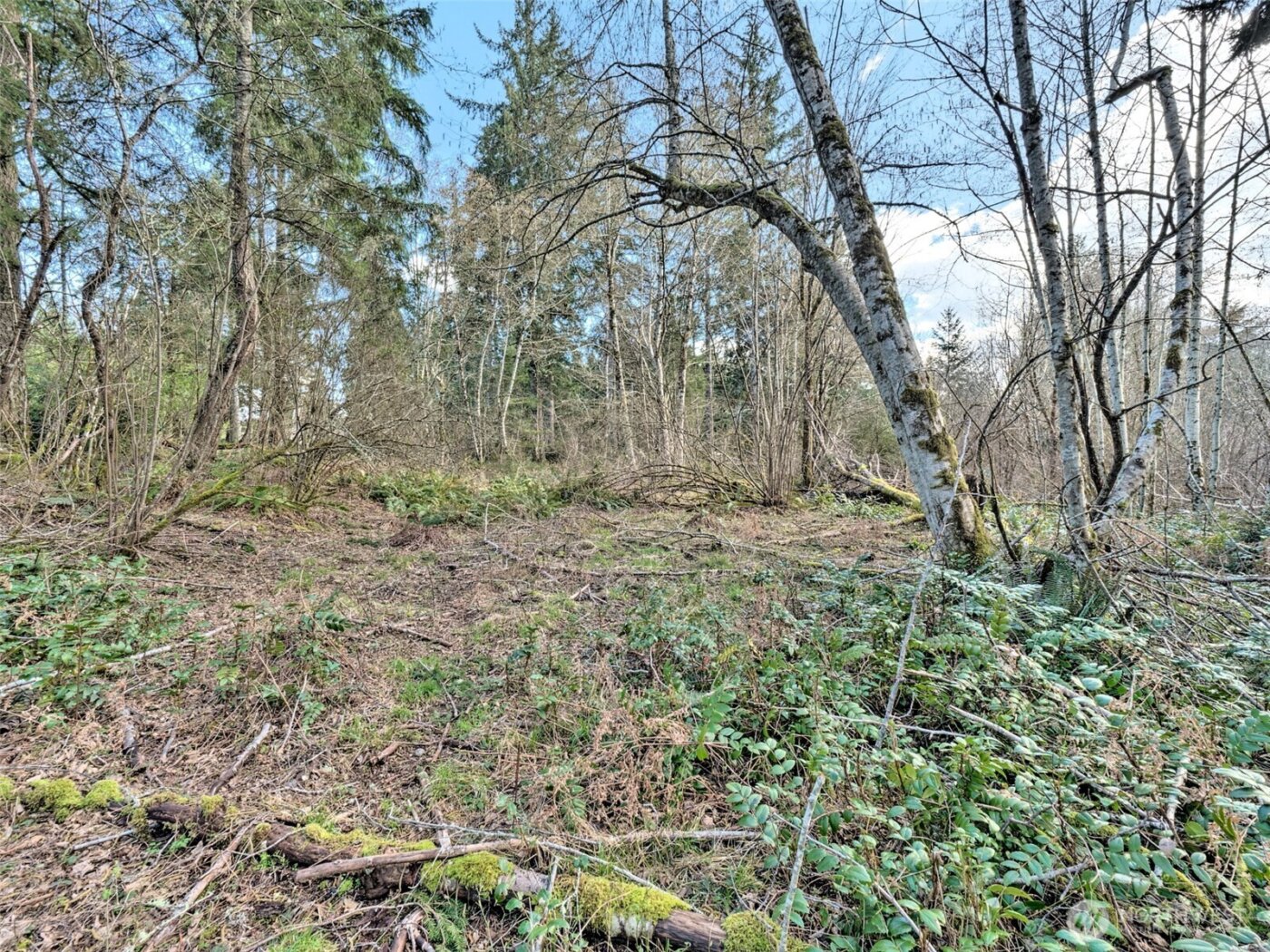 6641 SE Arcadia Road , Shelton, WA 98584