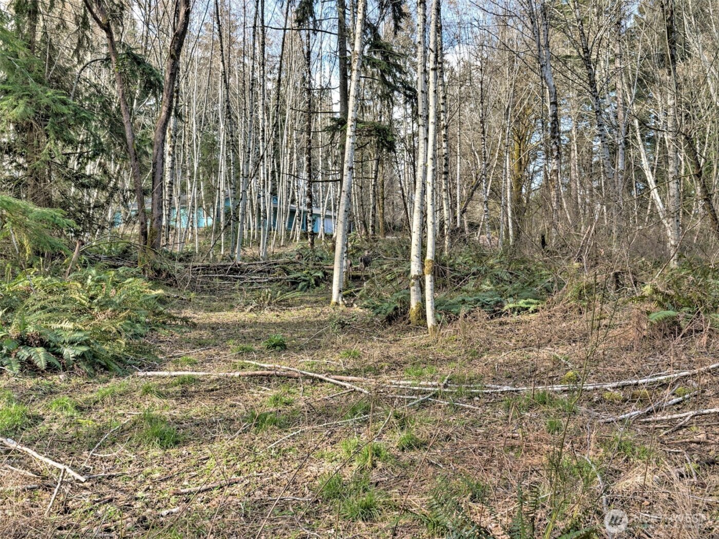 6641 SE Arcadia Road , Shelton, WA 98584