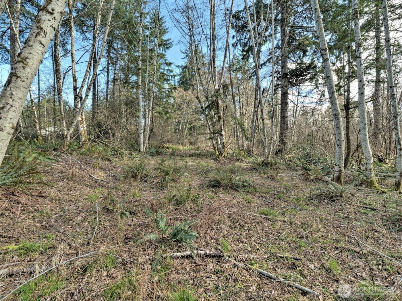 6641 SE Arcadia Road , Shelton, WA 98584