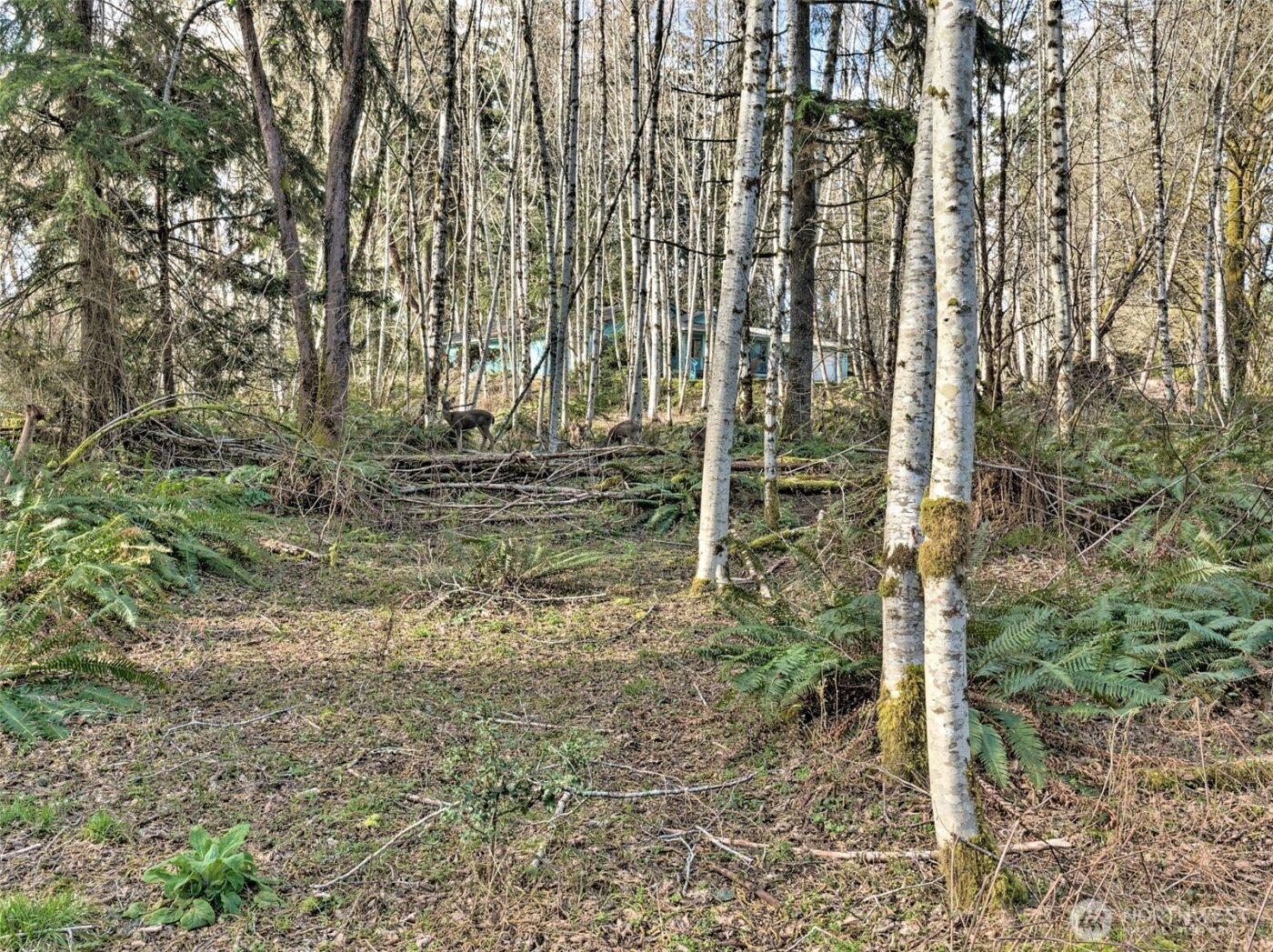 6641 SE Arcadia Road , Shelton, WA 98584