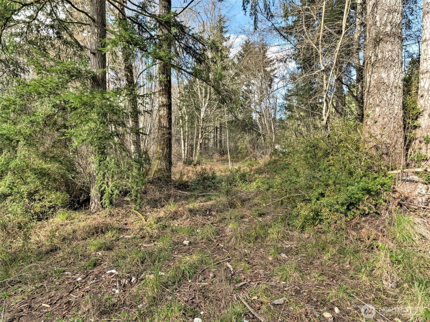 6641 SE Arcadia Road , Shelton, WA 98584