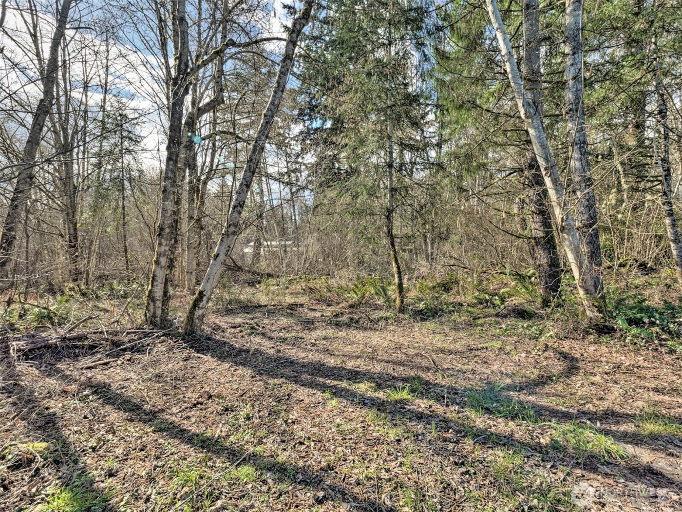 6641 SE Arcadia Road , Shelton, WA 98584