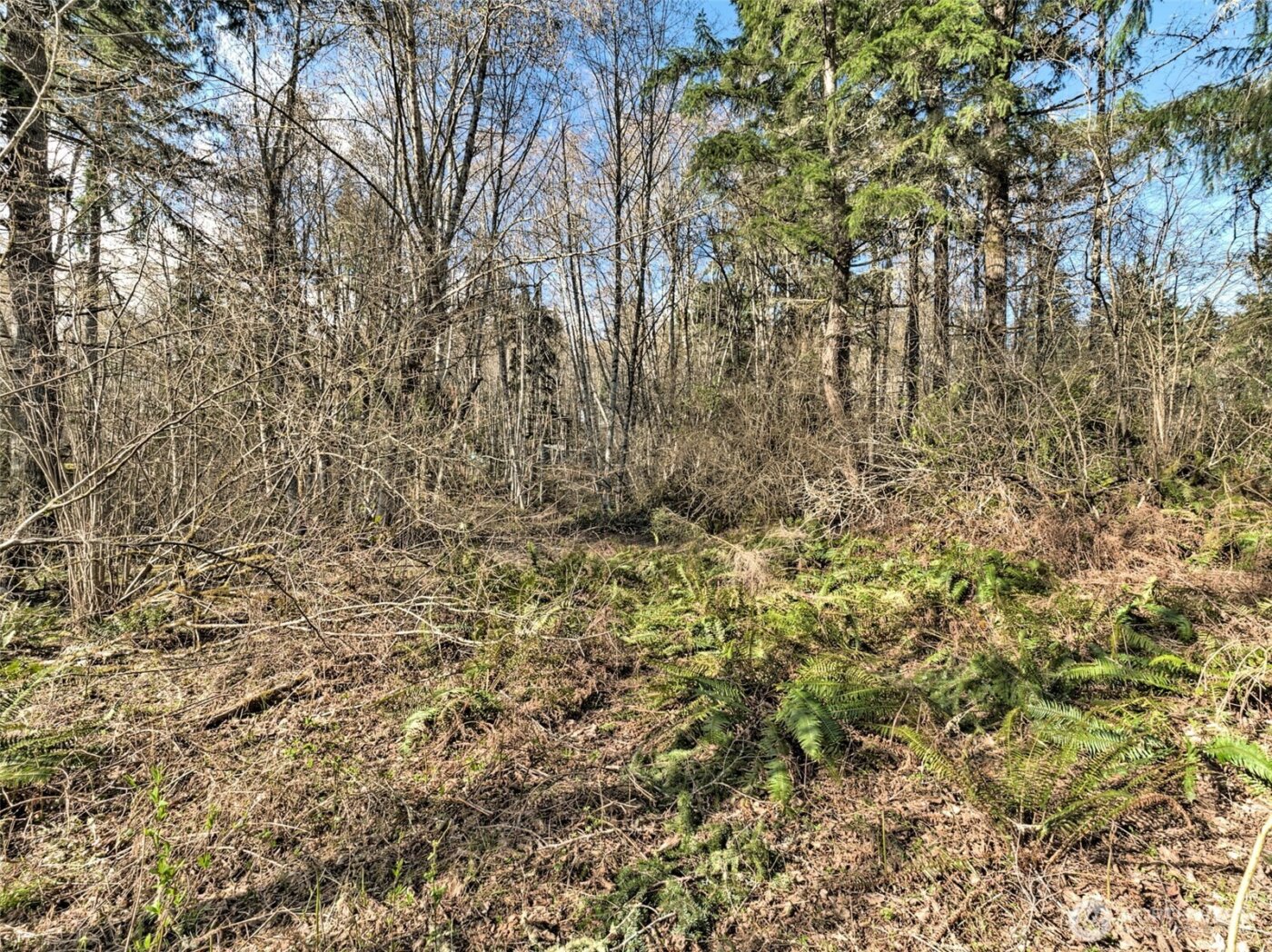 6641 SE Arcadia Road , Shelton, WA 98584