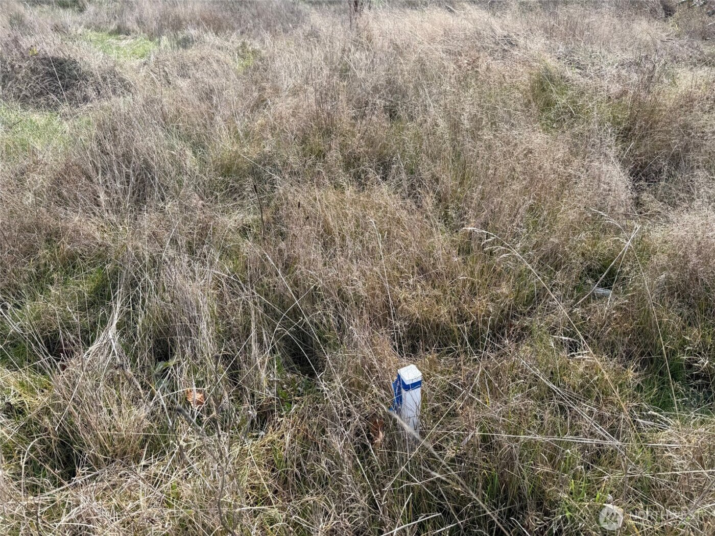 2501 Highland Avenue , Everett, WA 98201