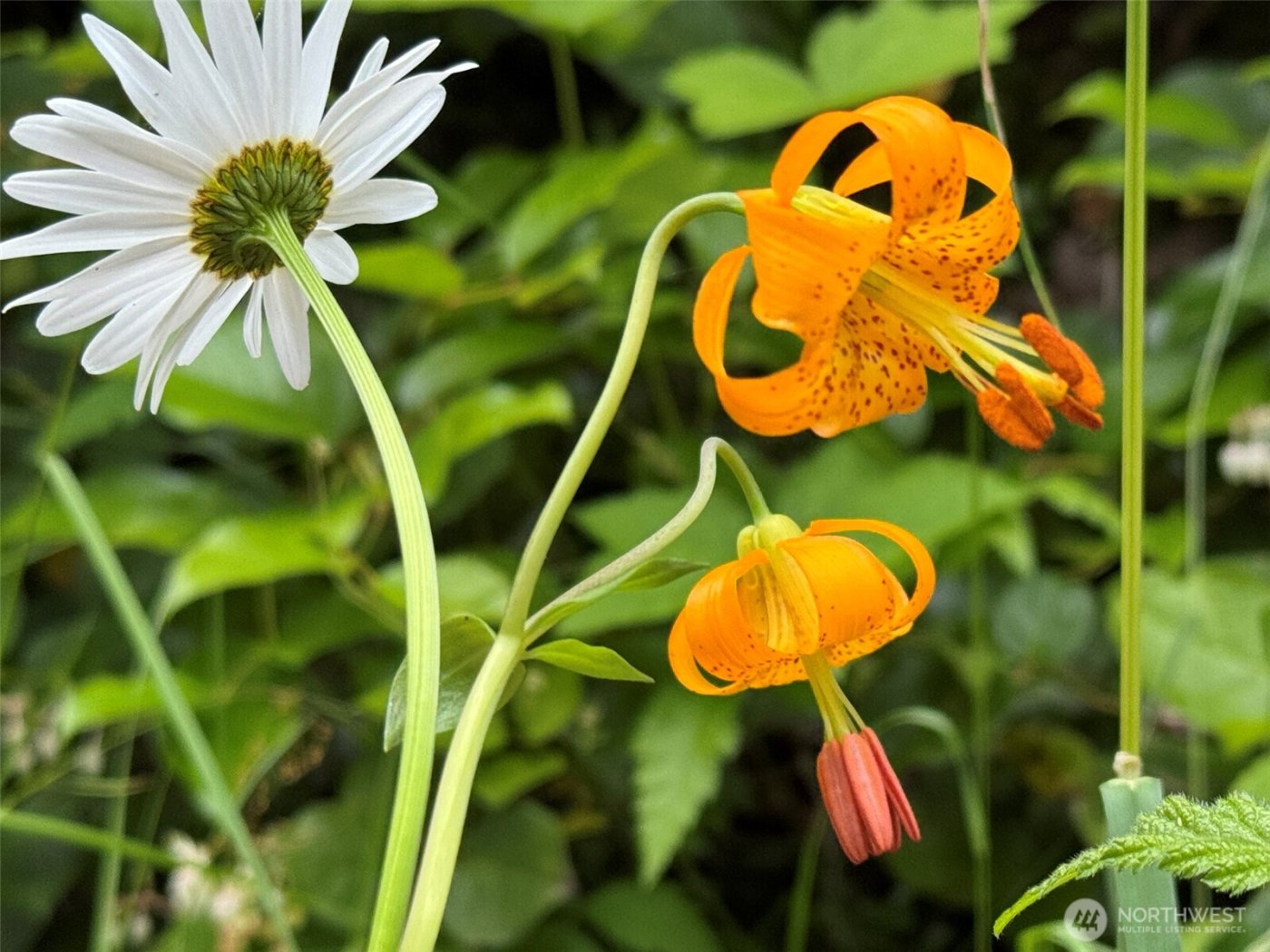 262 Break View Road , Port Angeles, WA 98363