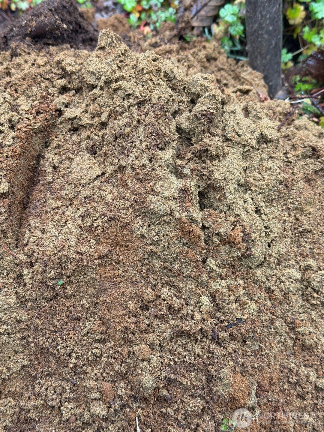 4843 NE Twin Spits Road , Hansville, WA 98340