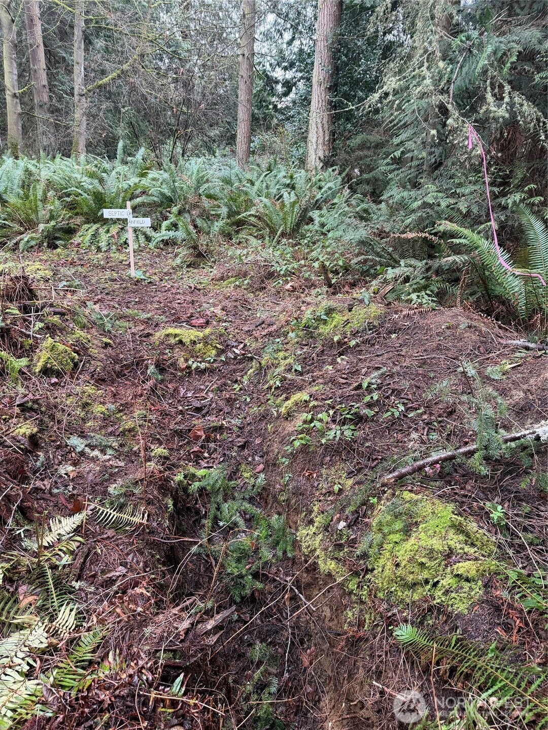 4843 NE Twin Spits Road , Hansville, WA 98340