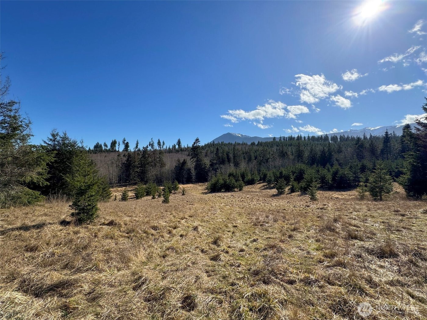 0 NKA Deer Park Road , Port Angeles, WA 98362