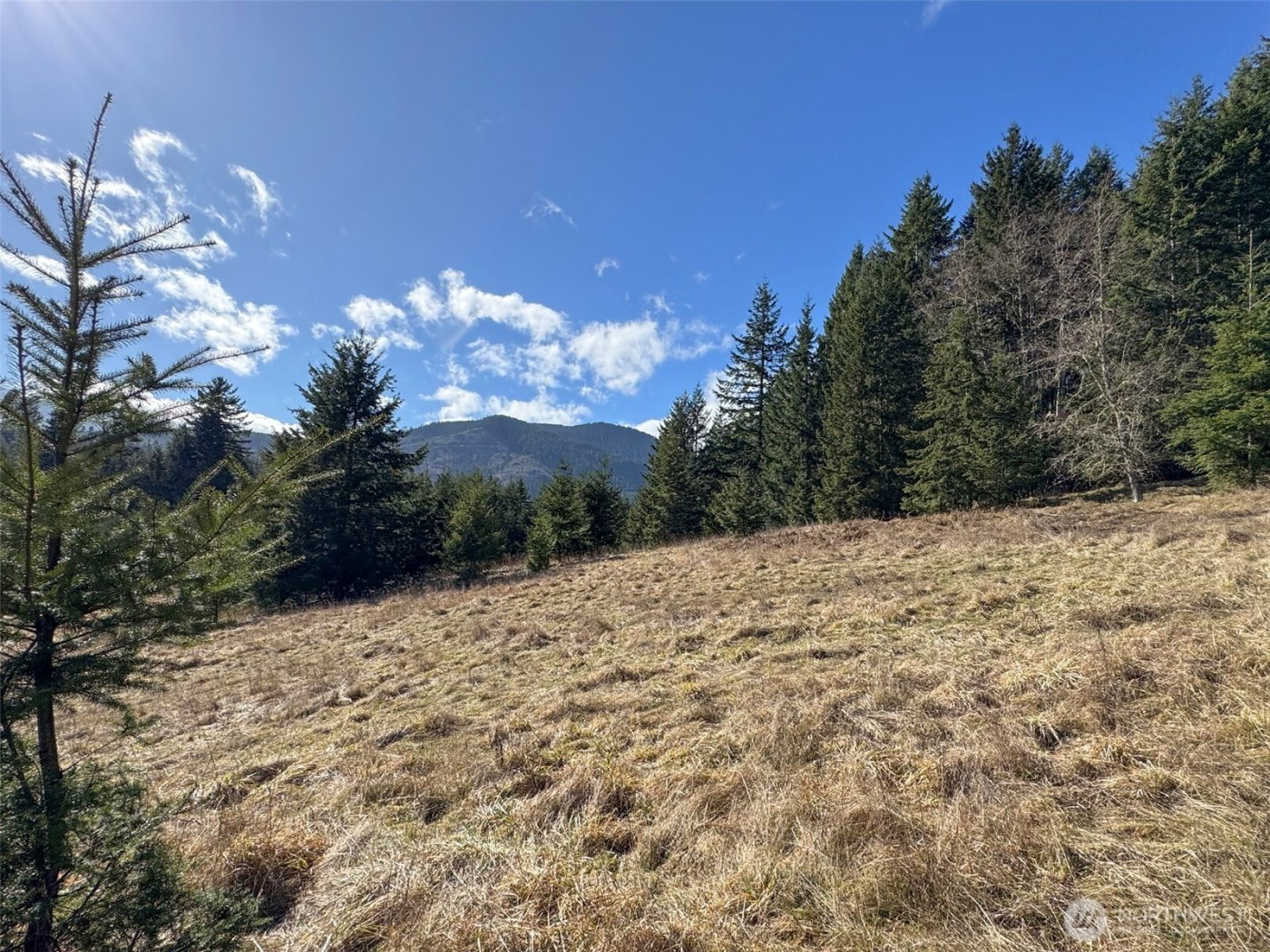 0 NKA Deer Park Road , Port Angeles, WA 98362