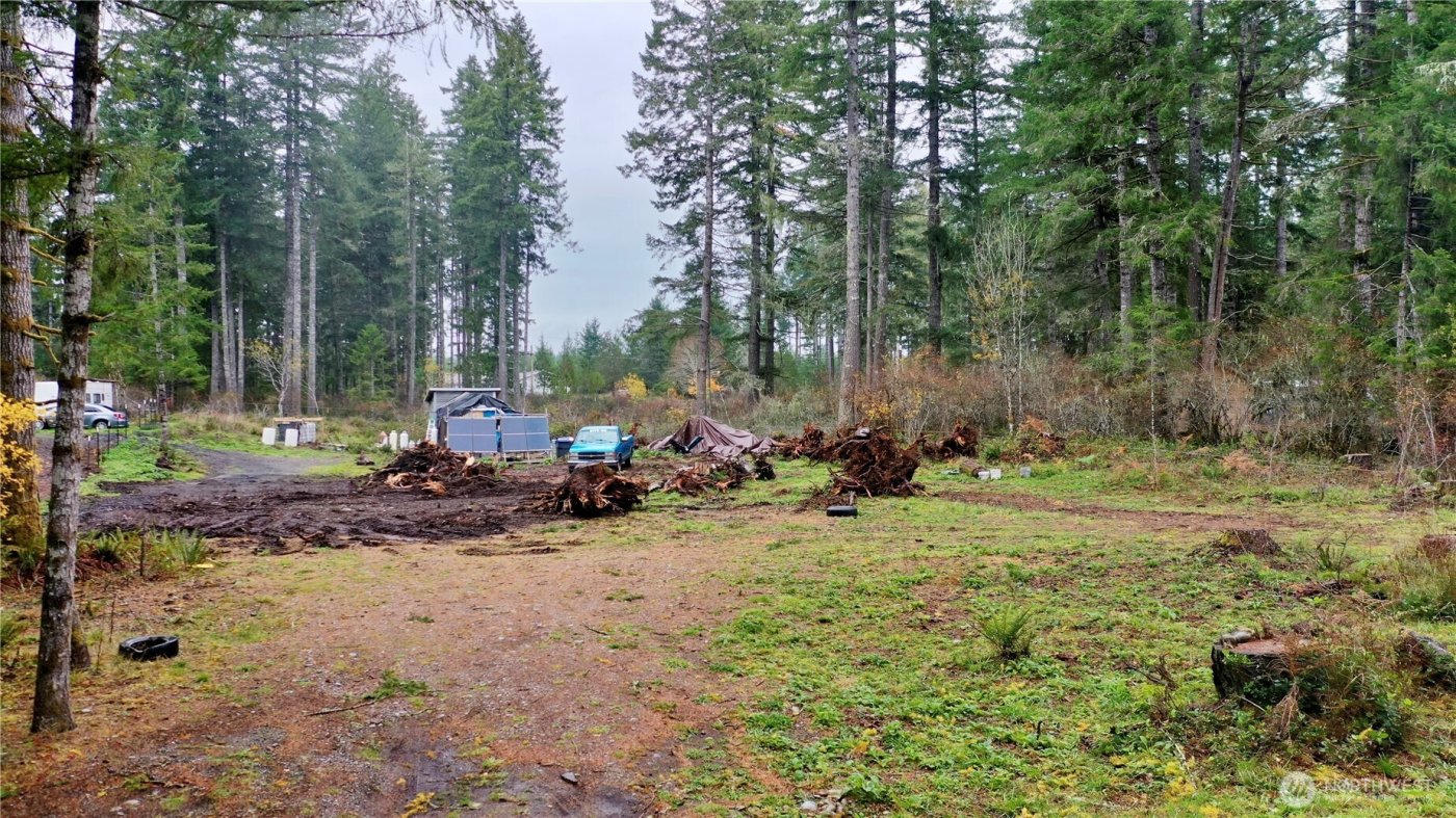 151 W Buck Prairie Rd , Elma, WA 98541