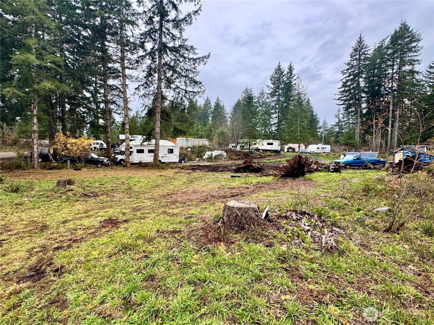 151 W Buck Prairie Rd , Elma, WA 98541