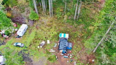 151 W Buck Prairie Rd , Elma, WA 98541 - Photo 8