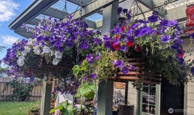 7454 Sole Drive , Blaine, WA 98230 - Photo 14