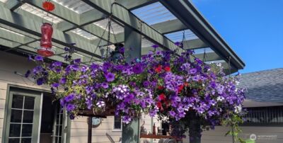 7454 Sole Drive , Blaine, WA 98230 - Photo 15