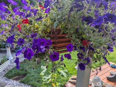 7454 Sole Drive , Blaine, WA 98230 - Photo 16