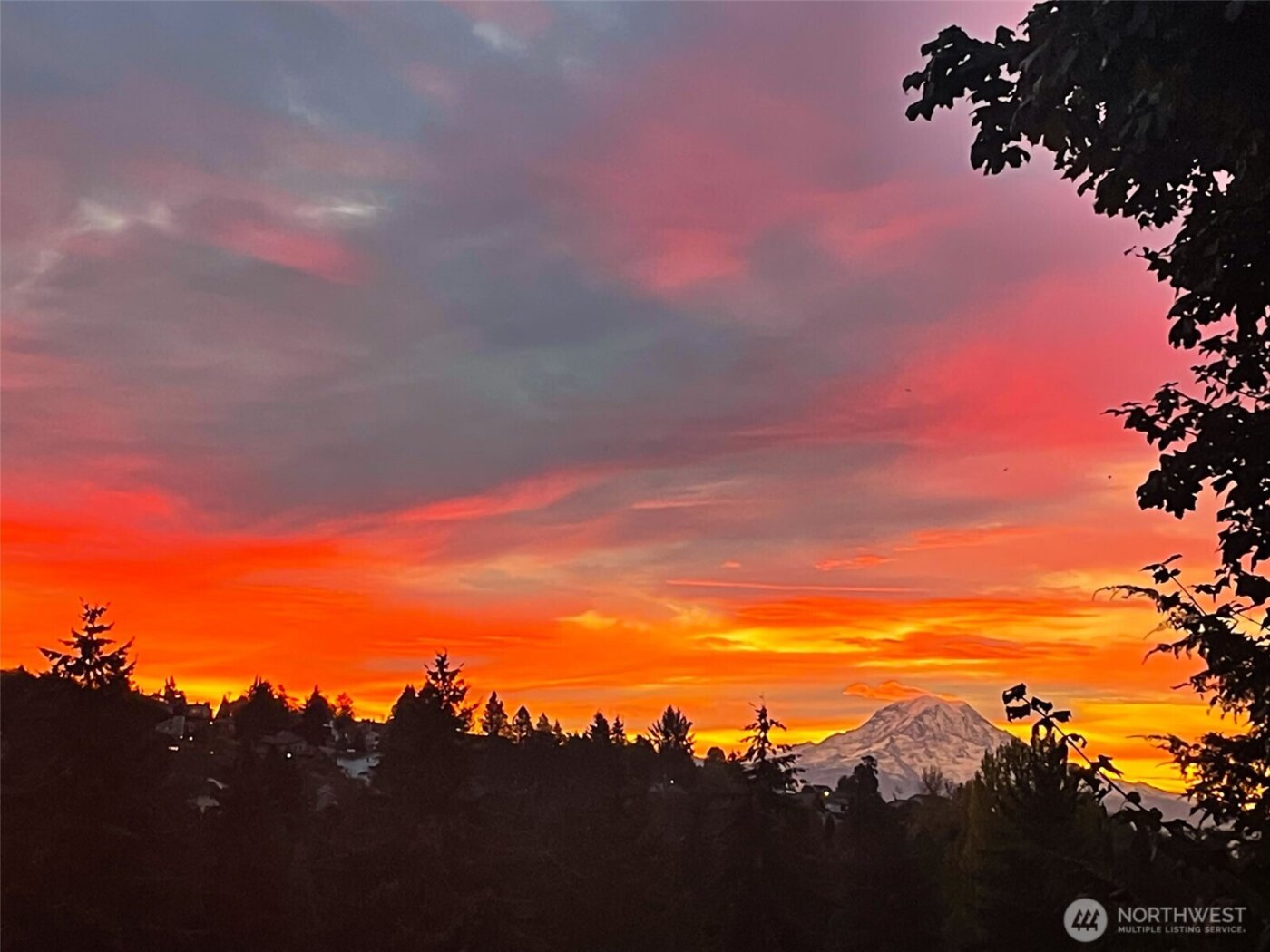 3619 Nassau Avenue NE, Tacoma, WA 98422