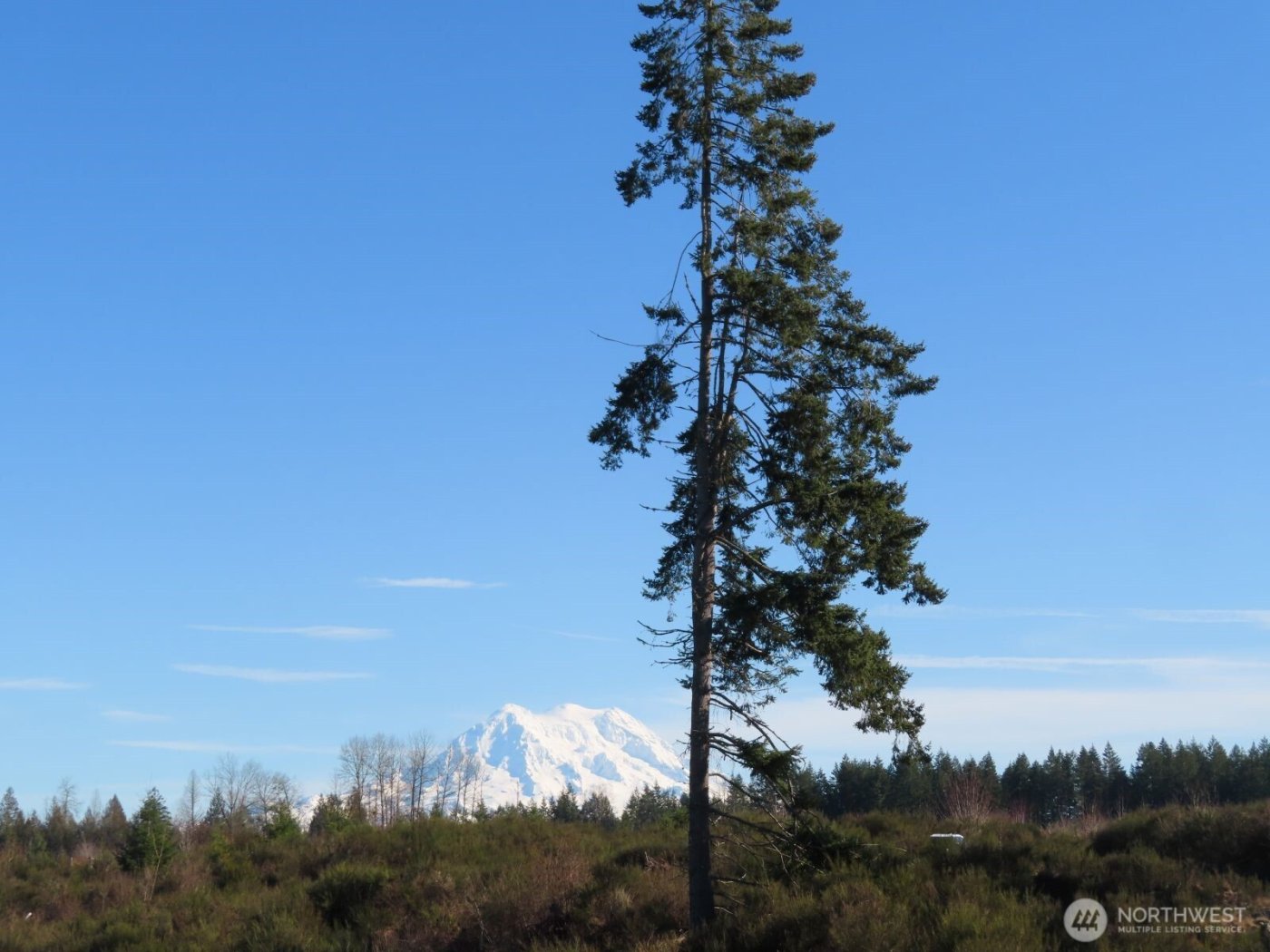 2906 357th Street E, Eatonville, WA 98328