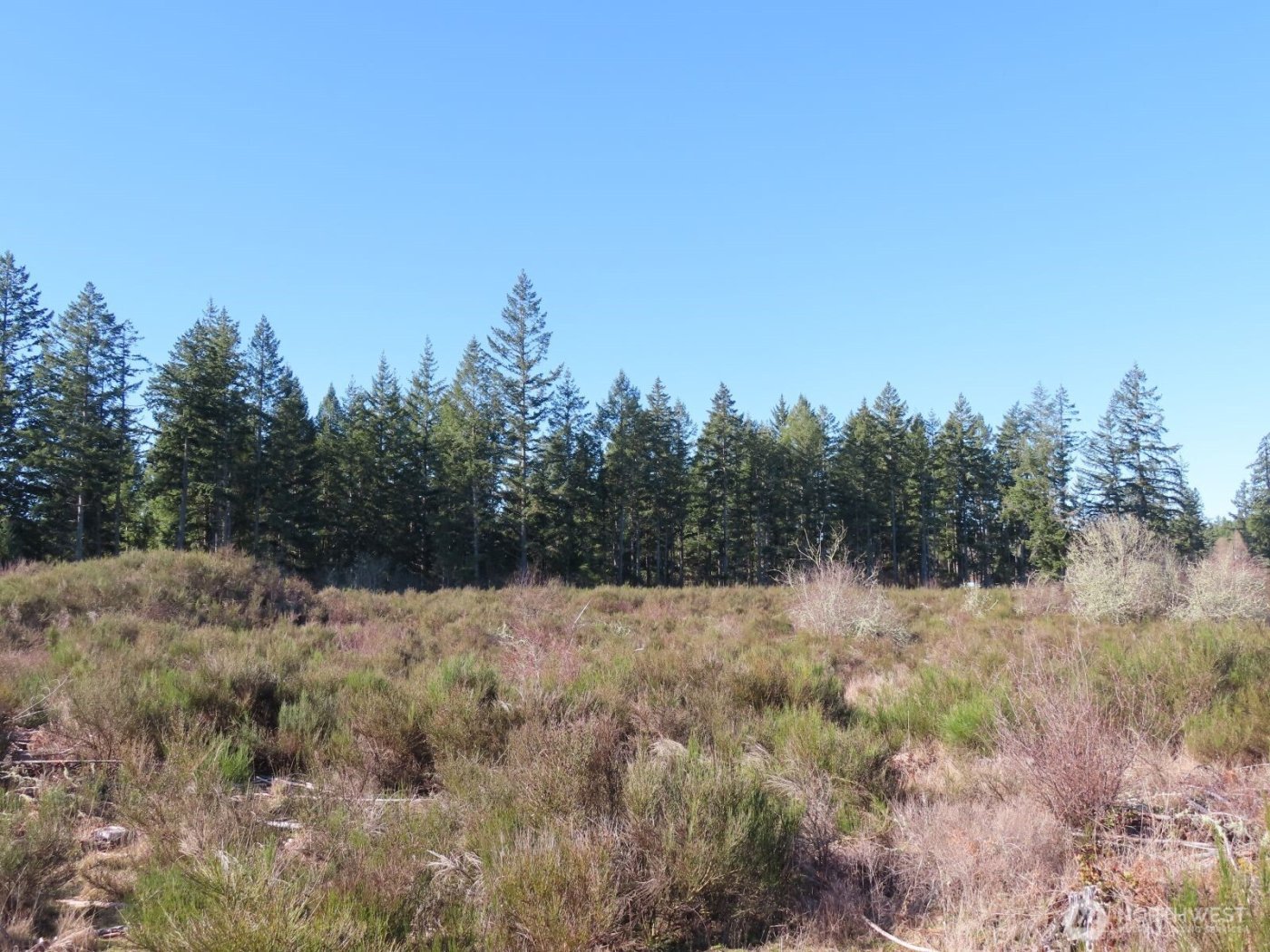 2906 357th Street E, Eatonville, WA 98328