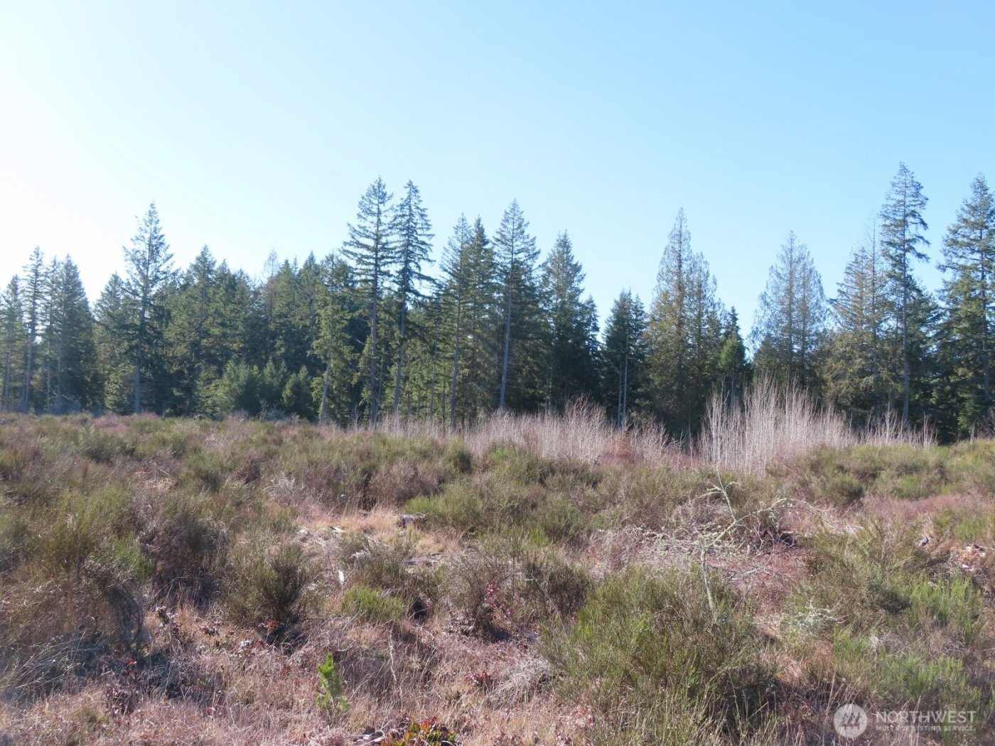 2906 357th Street E, Eatonville, WA 98328