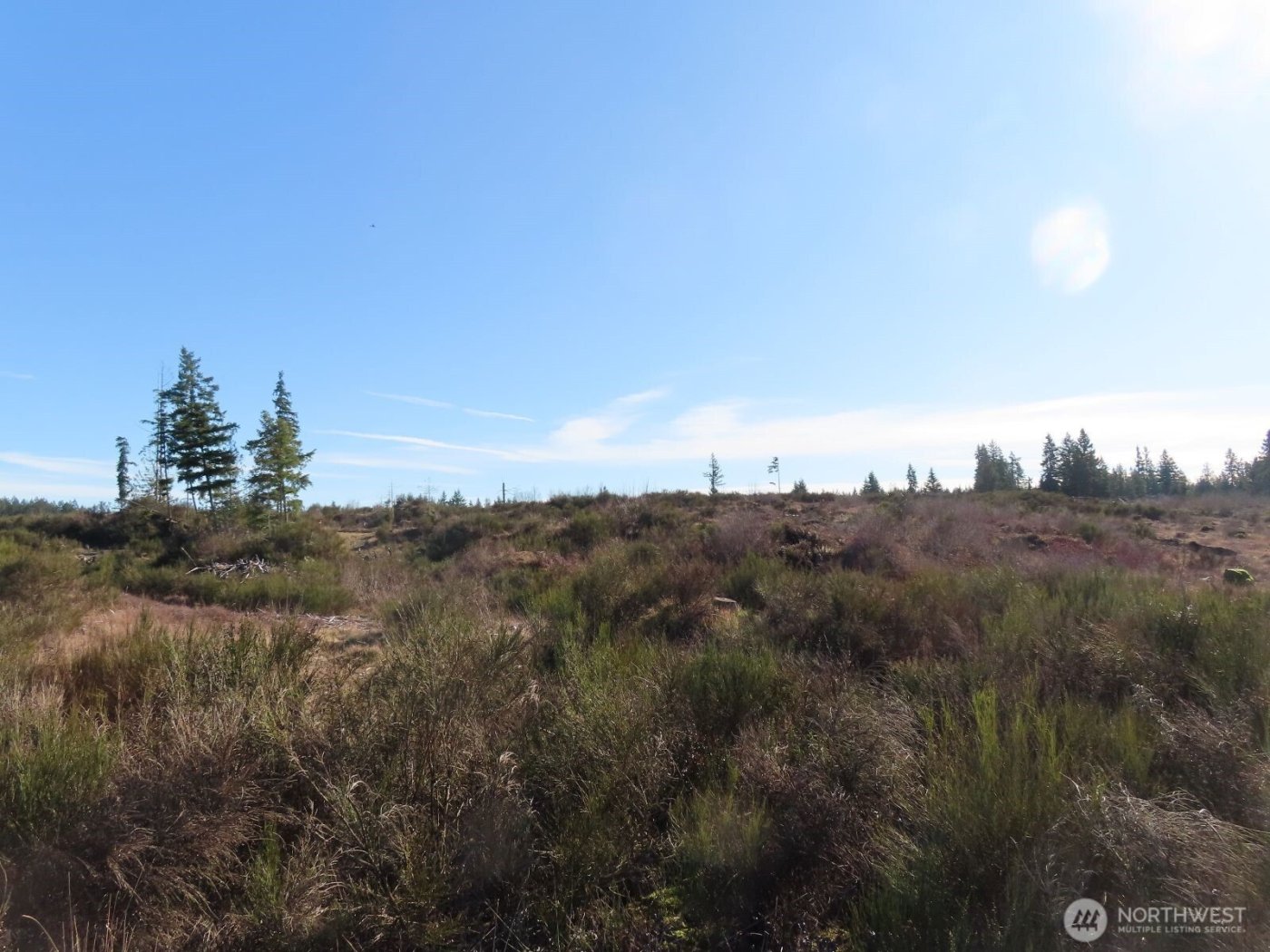 2906 357th Street E, Eatonville, WA 98328