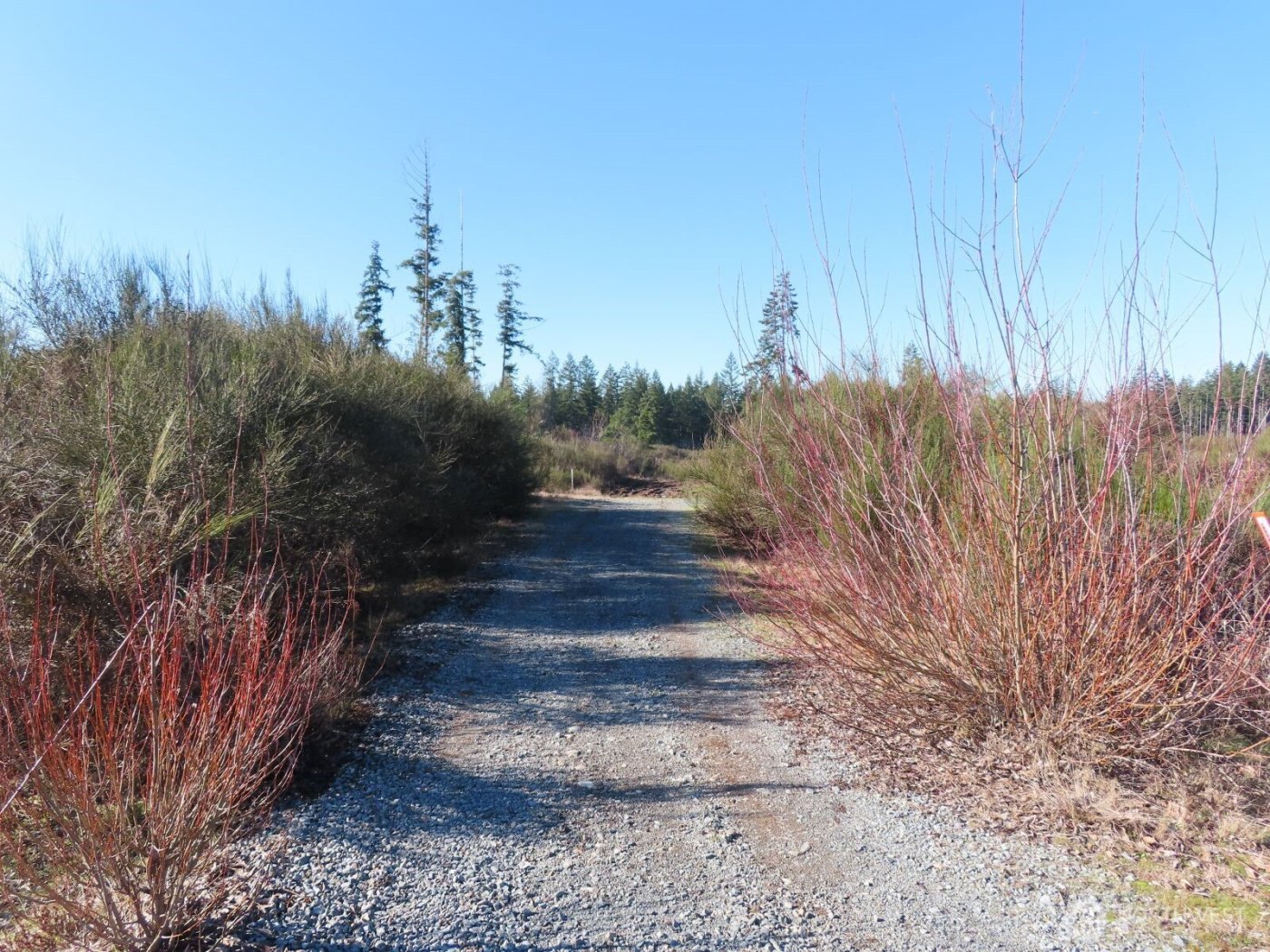 2906 357th Street E, Eatonville, WA 98328