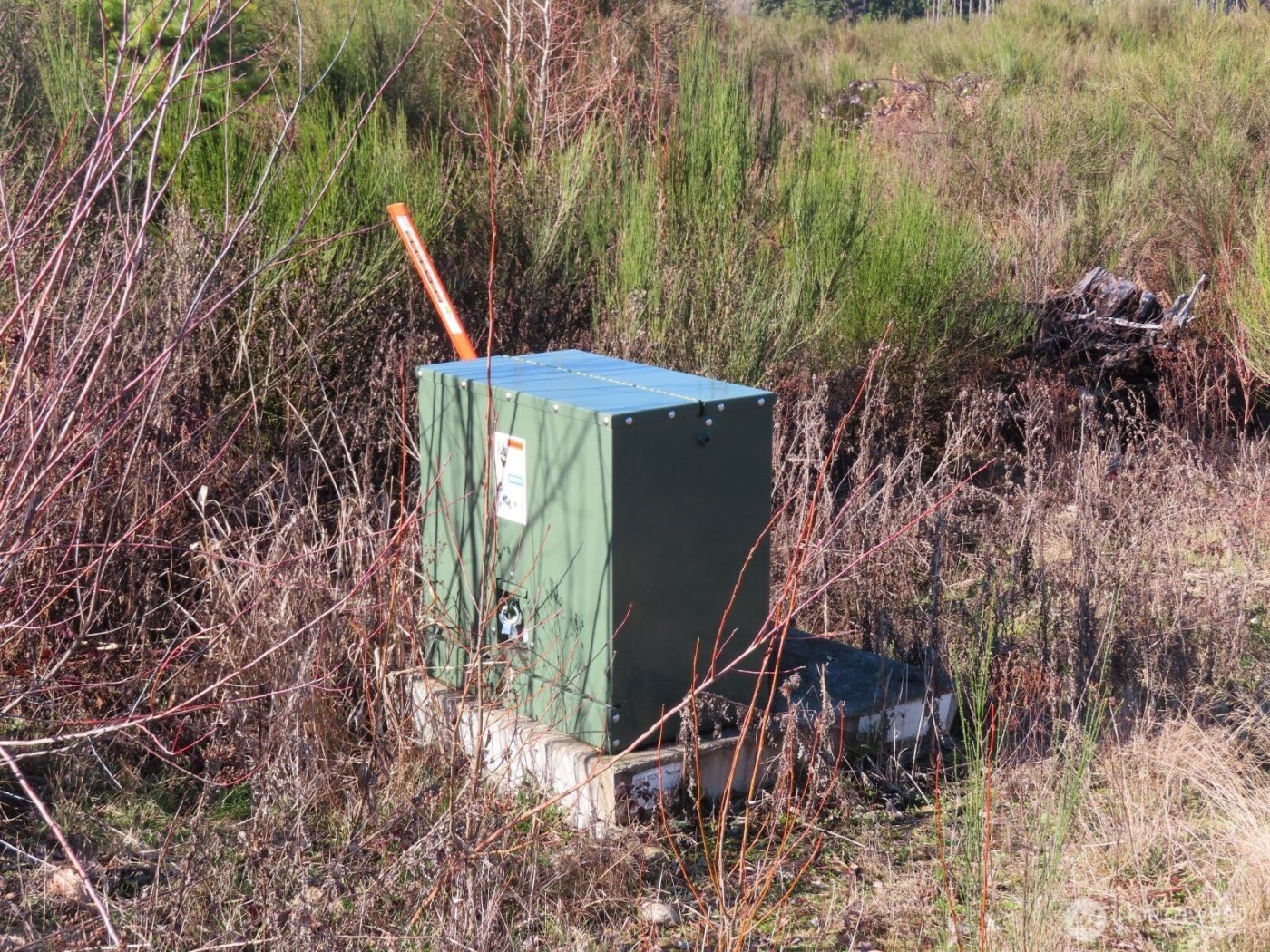 2906 357th Street E, Eatonville, WA 98328