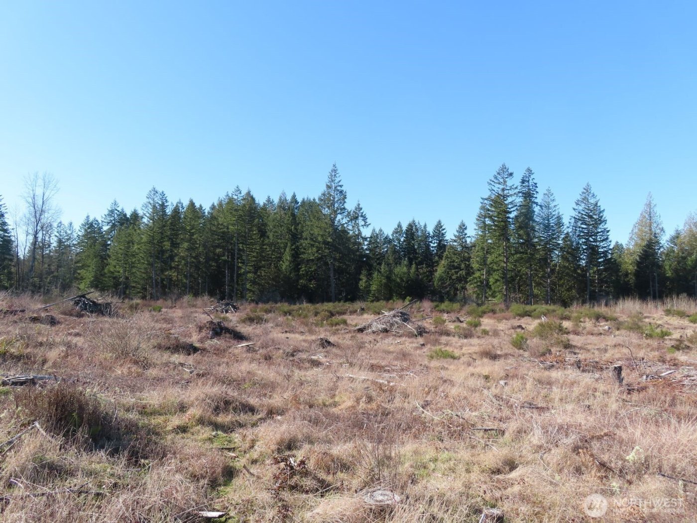 2906 357th Street E, Eatonville, WA 98328