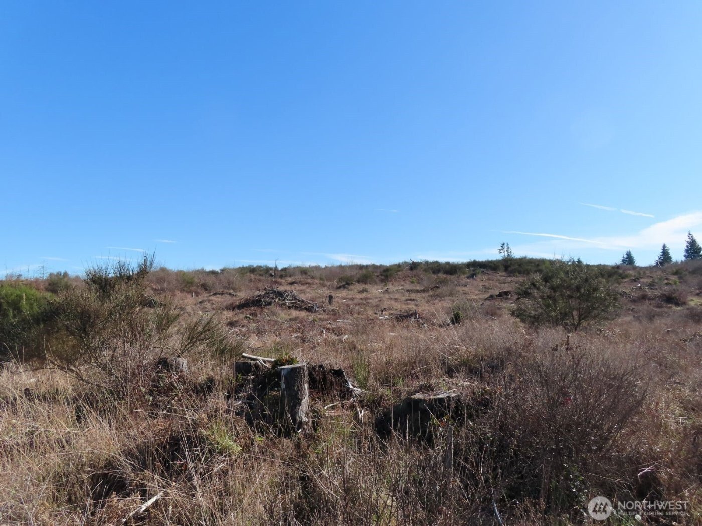 2906 357th Street E, Eatonville, WA 98328