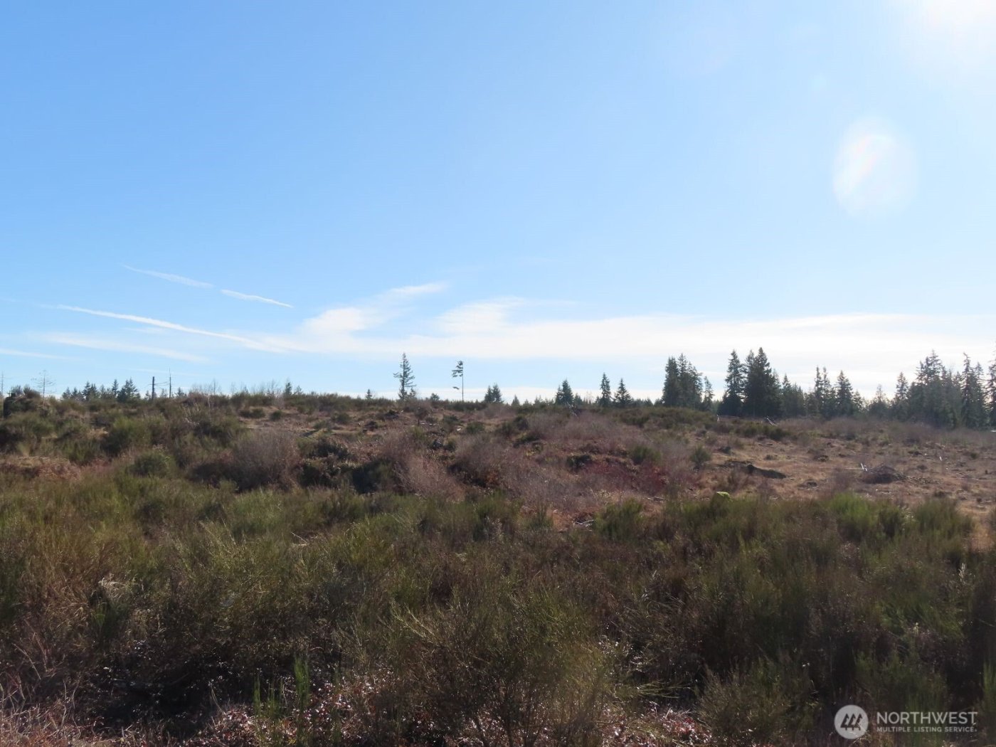 2906 357th Street E, Eatonville, WA 98328