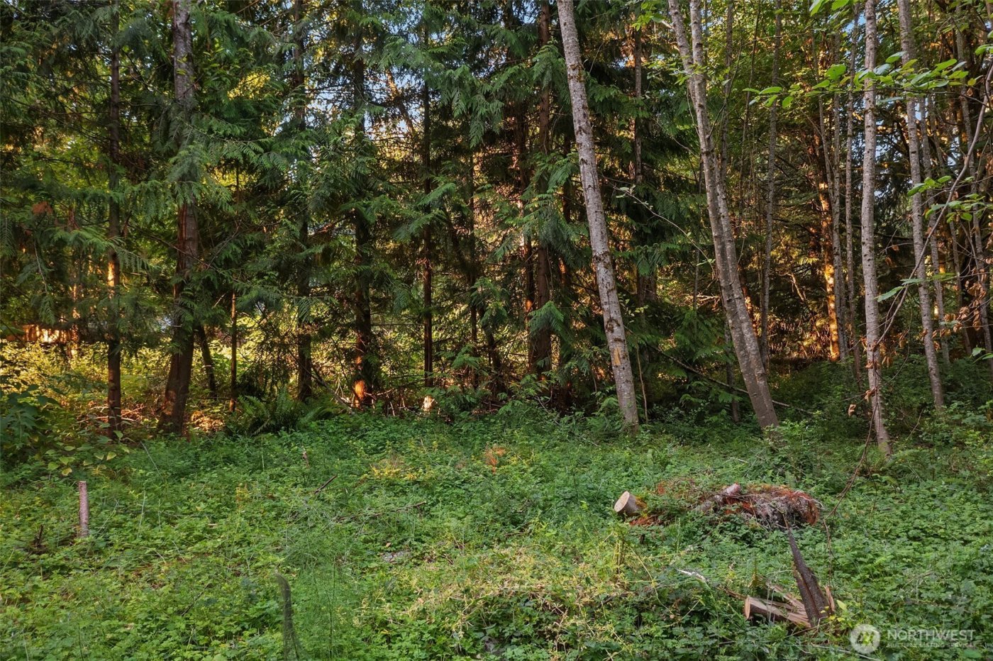 107 133rd Street SW, Vashon, WA 98070