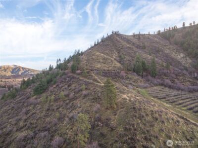 0 Tigner Road , Cashmere, WA 98815 - Photo 11