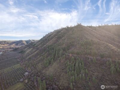 0 Tigner Road , Cashmere, WA 98815 - Photo 13