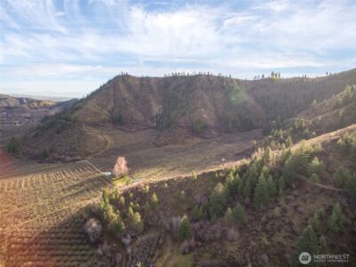 0 Tigner Road , Cashmere, WA 98815 - Photo 19