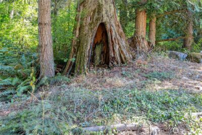 32215 122nd Street E, Buckley, WA 98321 - Photo 29