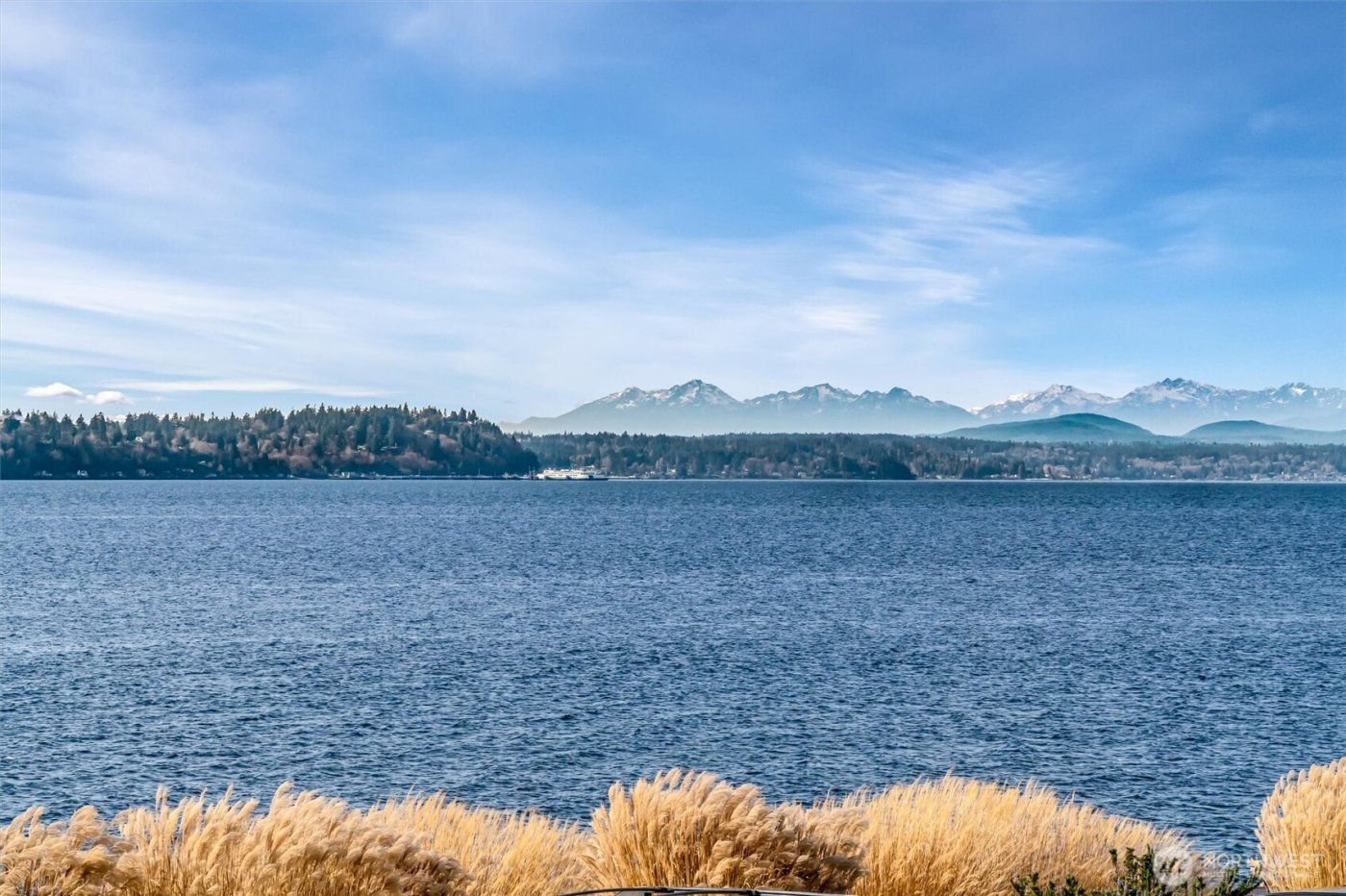 10203 47th Avenue SW #D2, Seattle, WA 98146