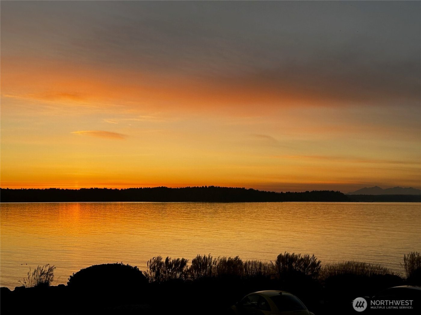 10203 47th Avenue SW #D2, Seattle, WA 98146