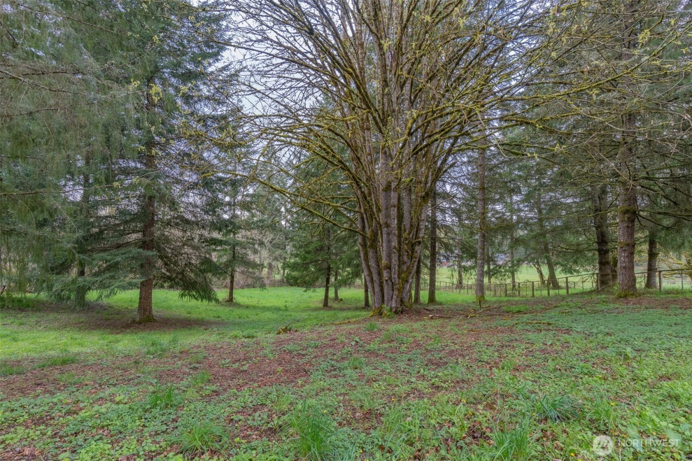 2024 Lorraine Drive SE, Olympia, WA 98501