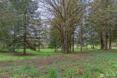 2024 Lorraine Drive SE, Olympia, WA 98501 - Photo 29