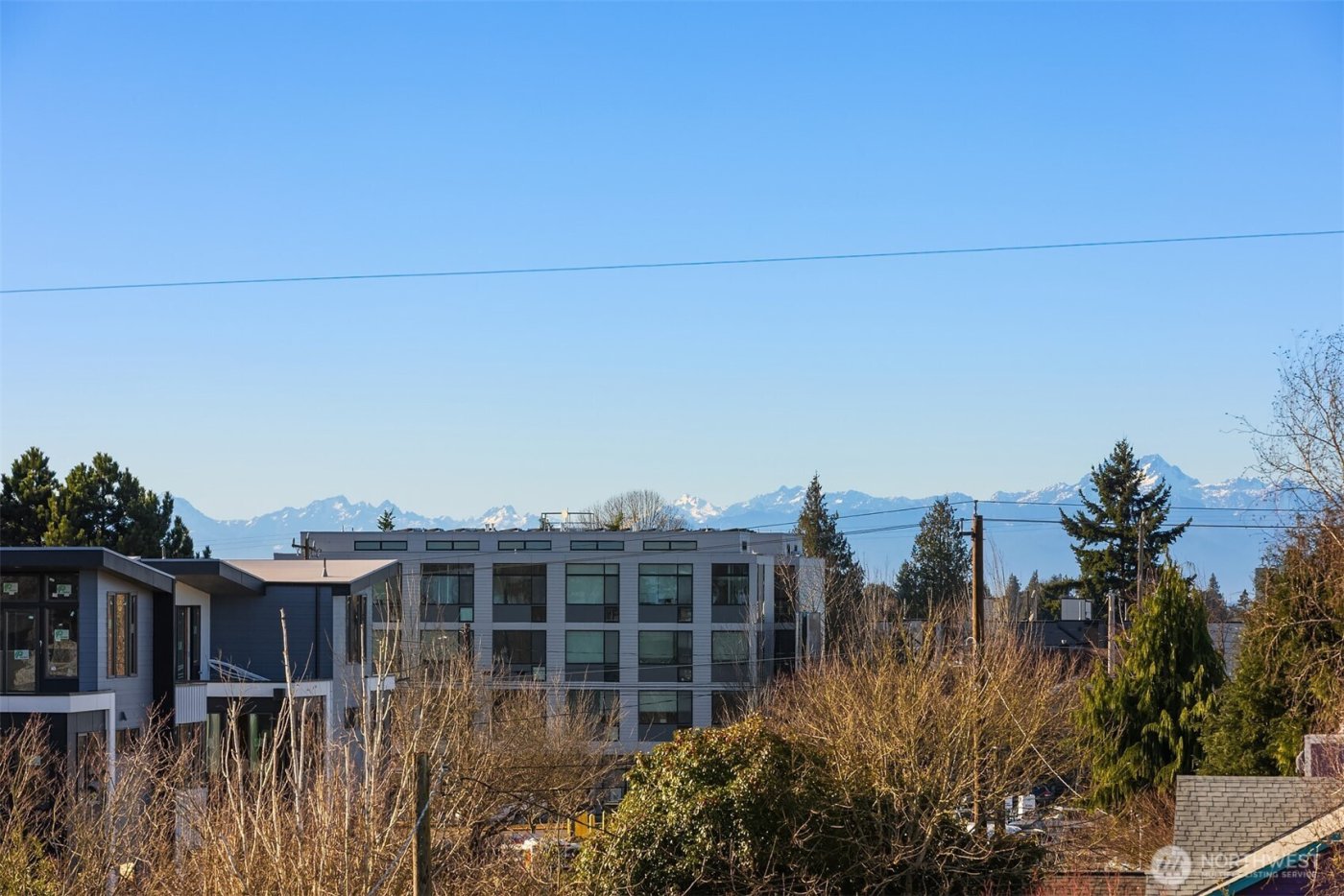 8326 14th Avenue NW, Seattle, WA 98117