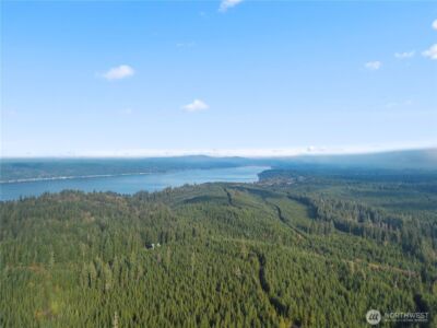 151 E Kingsley Place , Belfair, WA 98528 - Photo 28