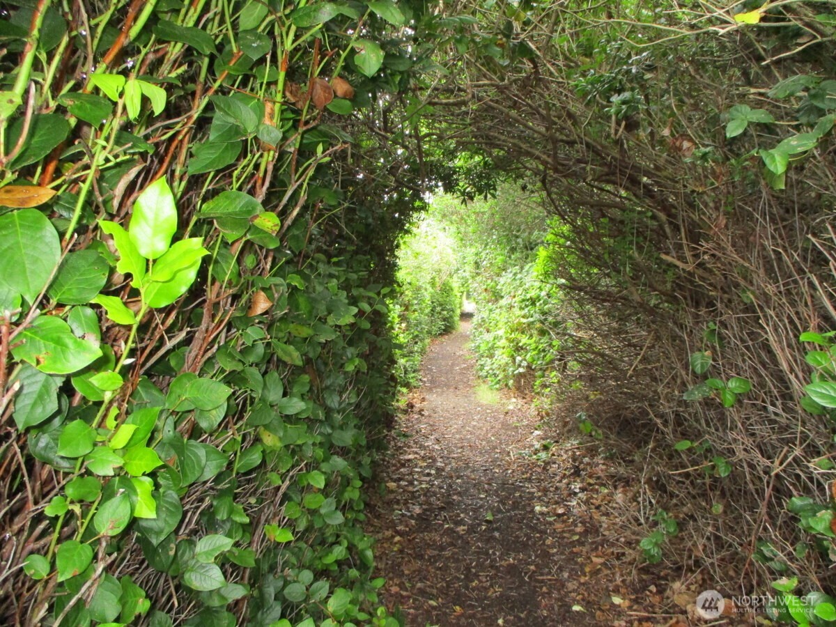 384 Marine View Drive SW, Ocean Shores, WA 98569