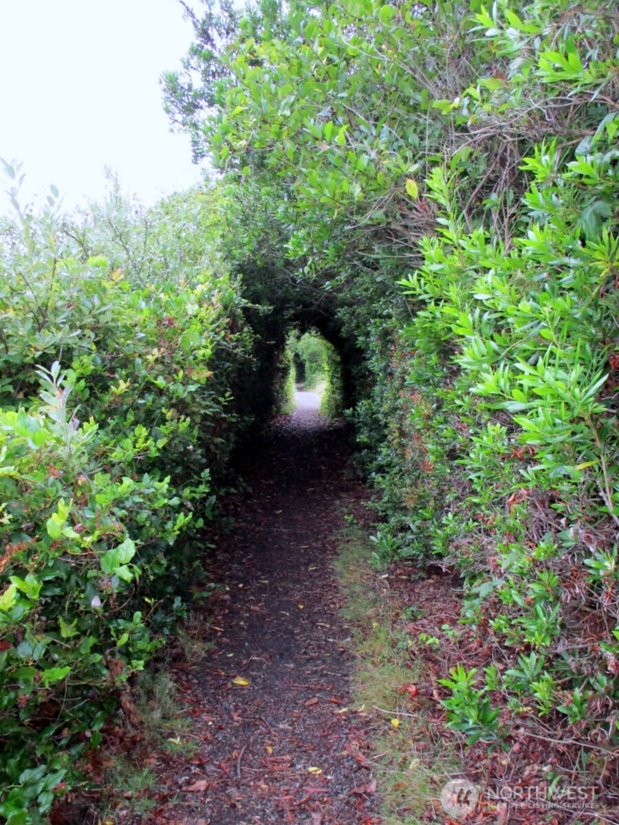 384 Marine View Drive SW, Ocean Shores, WA 98569