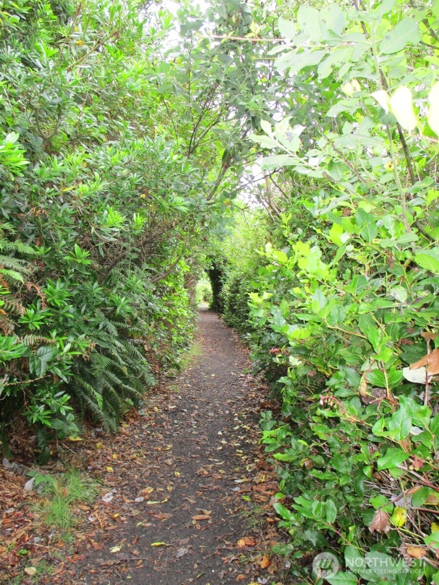 384 Marine View Drive SW, Ocean Shores, WA 98569