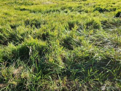 300 W Front , Aberdeen, WA 98520 - Photo 3