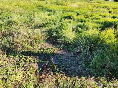 300 W Front , Aberdeen, WA 98520 - Photo 7